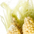 Corn Silk